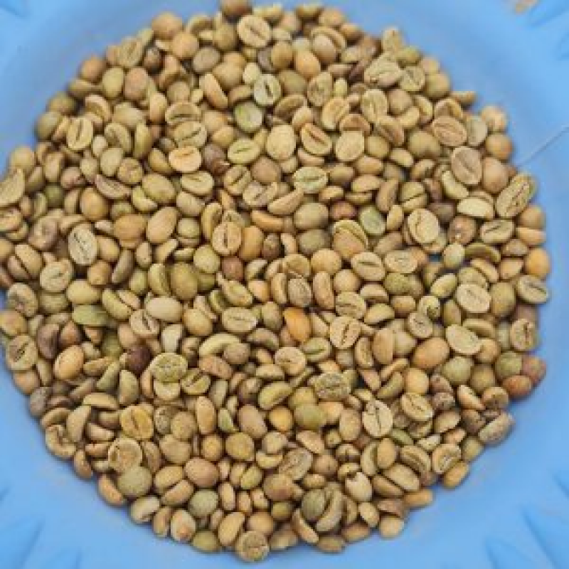 Robusta Beans