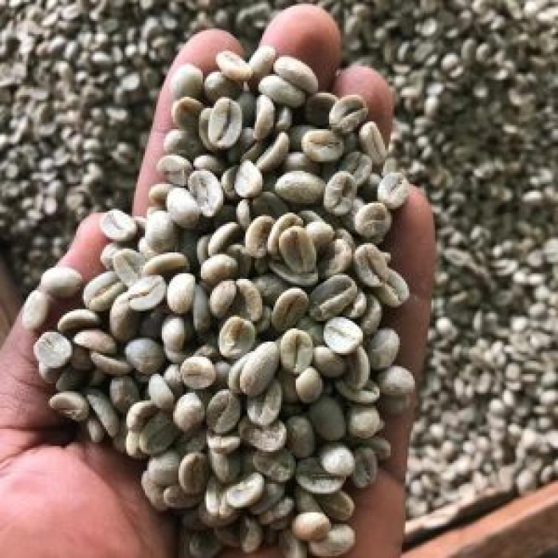 Arabica Coffee Beans