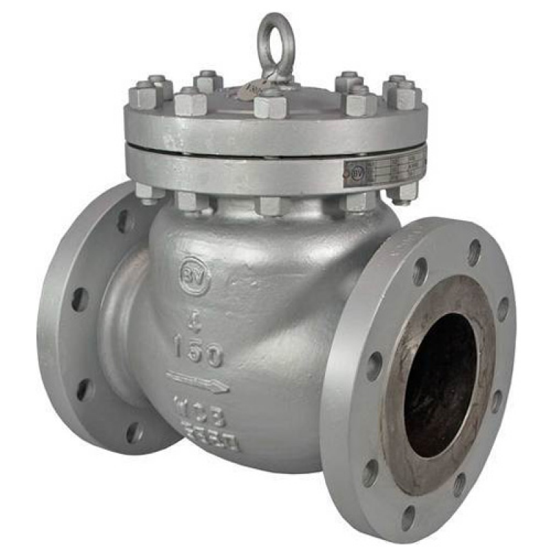 China Check Valve Product