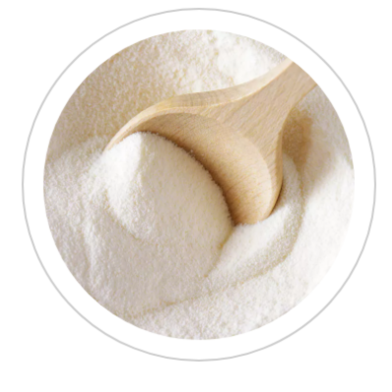 Dairy Ingredients