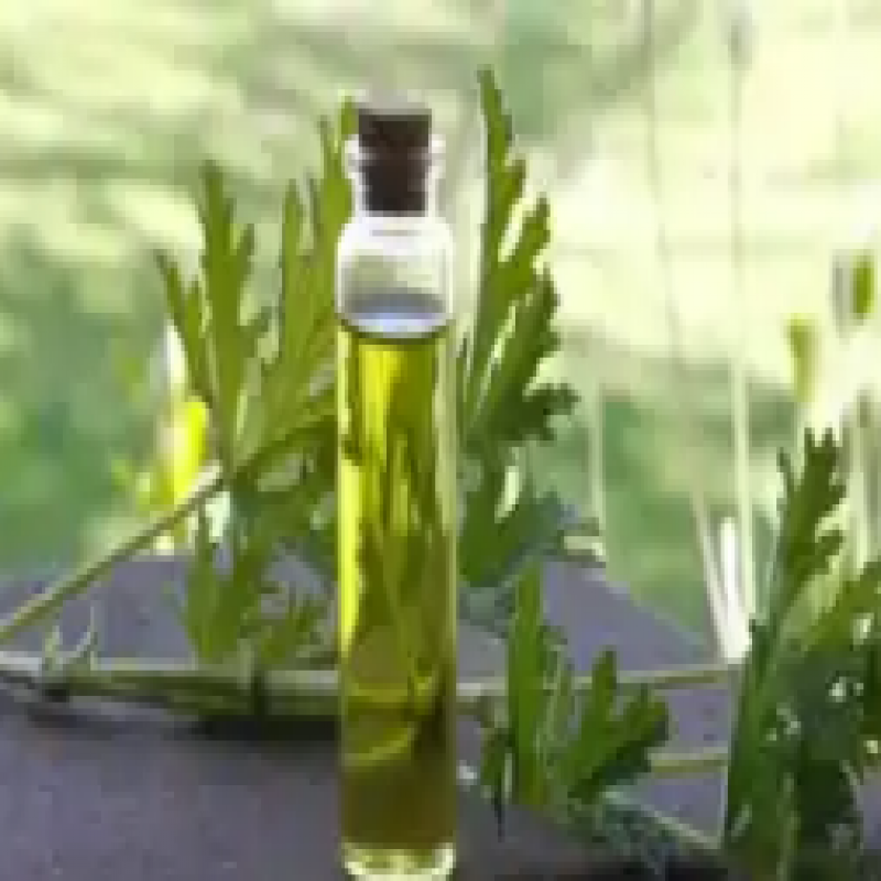 Body Oil Fragrances