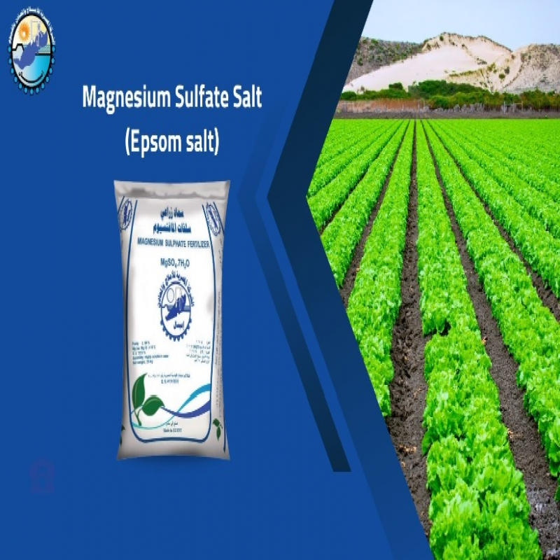 Magnesium Sulfate