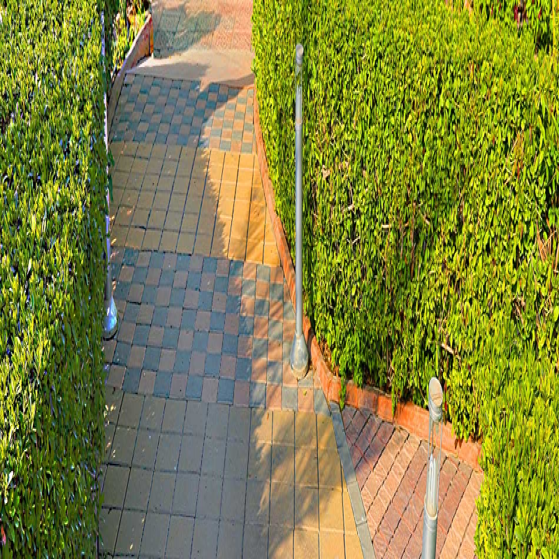 Outdoor Paving & Garden