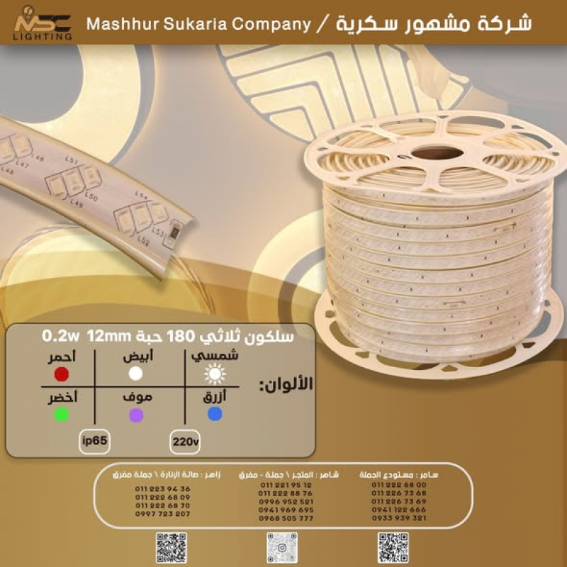 Silicone and neon LED strips