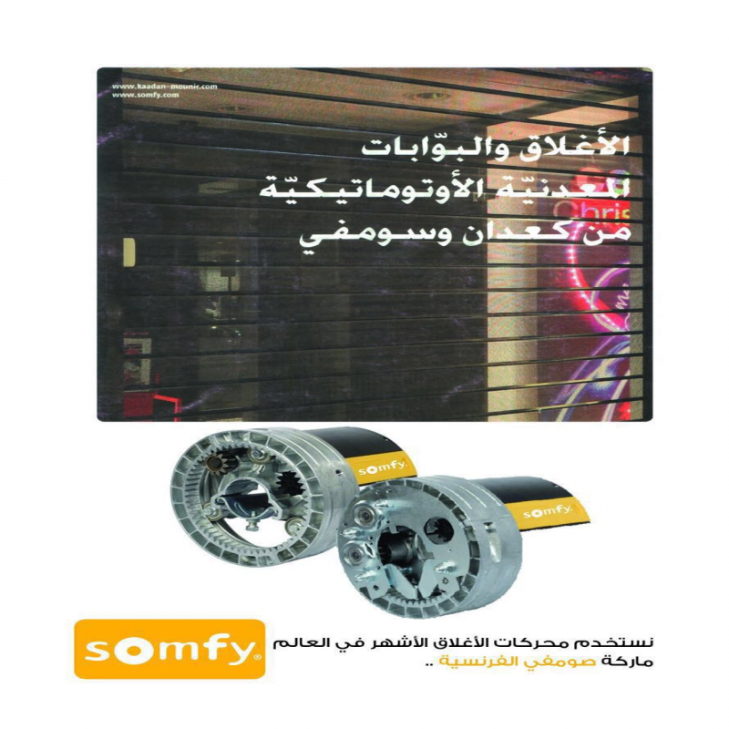 SOMFY French locking motors